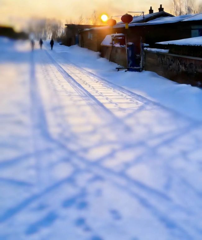 一个985博士的十年滑落 时代窗口关闭后的迷茫