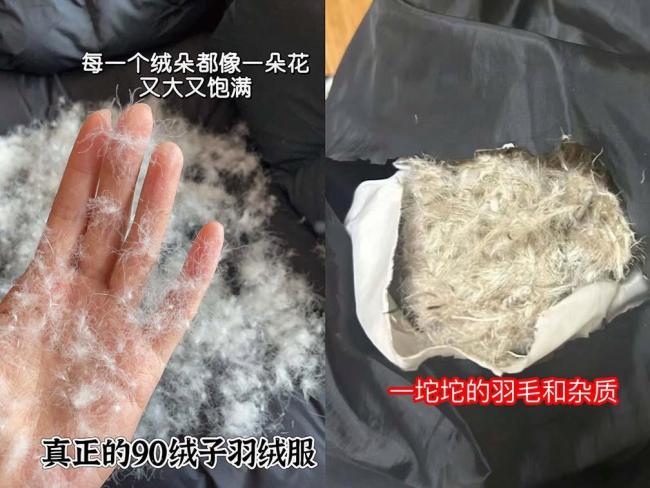 胖东来回应中产涌入超市抢羽绒服 透明消费引热潮