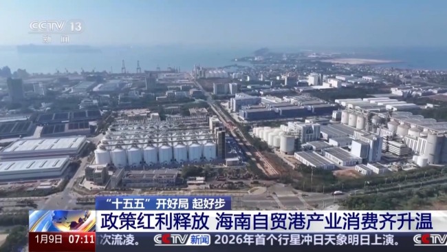 企业投资热、发展机遇多 海南自贸港产业消费升温