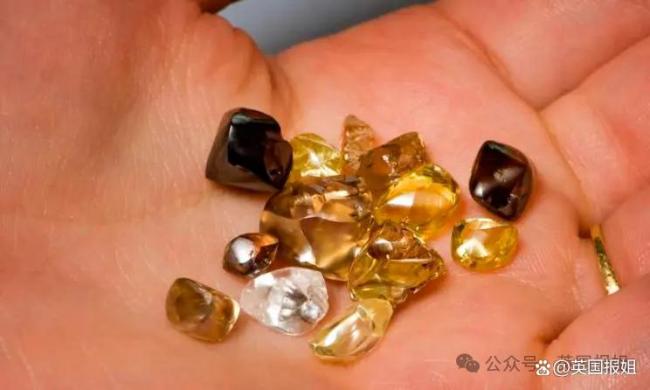 男子按SIRI建议挖出2克拉钻石 意外之喜引发热议