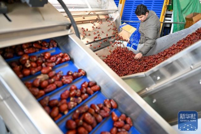 新春“疆”味浓 云端快车道助农增收