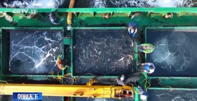 上百万尾鱼苗跨越山海 “蓝色粮仓”加速丰盈