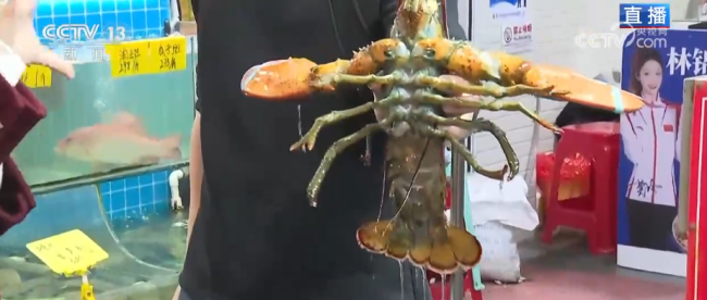 品质升级、暖意涌动点亮节前消费新图景