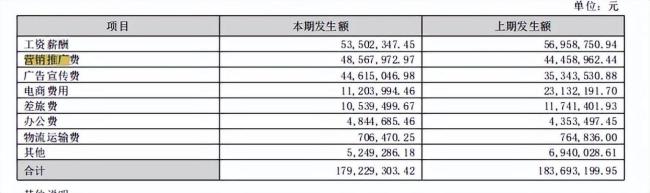 “等生了孩子”“等还完房贷”，公司广告文案引热议，网友质疑贩卖焦虑 捆绑消费引争议