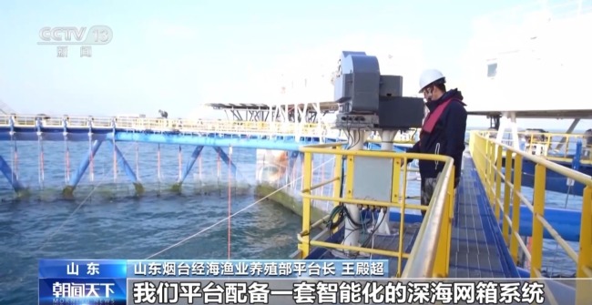 上百萬尾魚苗跨越山海 “藍(lán)色糧倉”加速豐盈