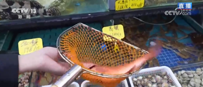 品質(zhì)升級、暖意涌動點亮節(jié)前消費新圖景