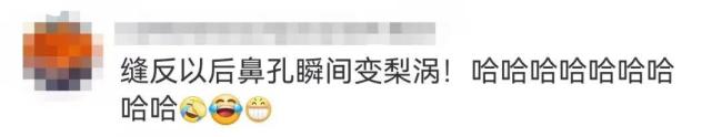 哭哭马 意外走红的“反差萌”