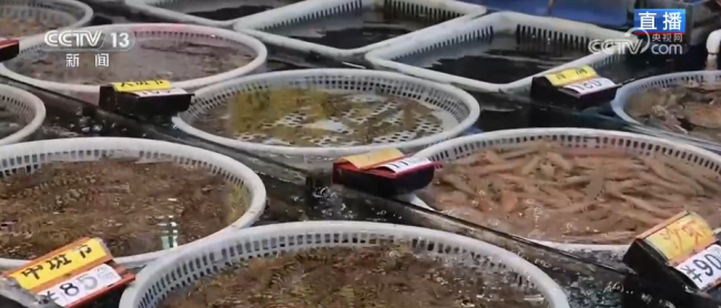 品質(zhì)升級、暖意涌動點亮節(jié)前消費新圖景