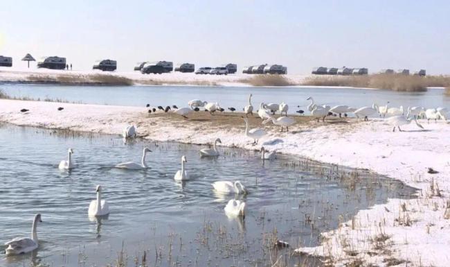 中国雪窝暴雪量为何碾压全国 冷流雪揭秘