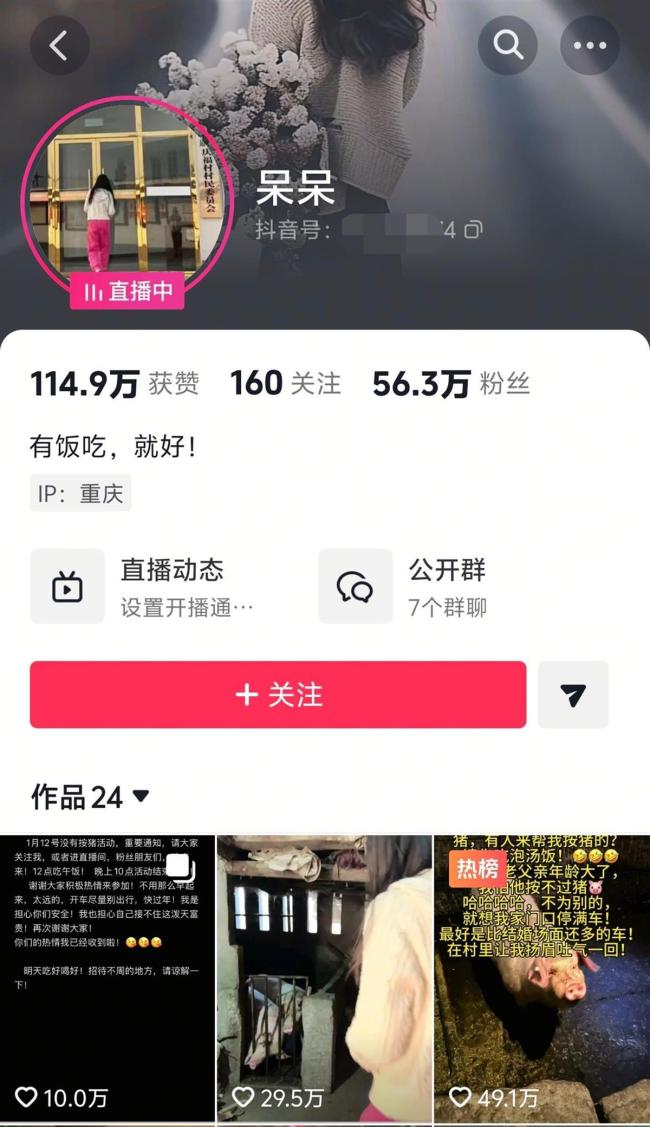 重庆合川文旅连夜开会：接住泼天流量 网红“呆呆”意外爆红
