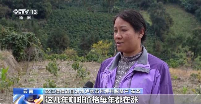 走出大山 云南咖啡何以从“红果”走向“红火”？