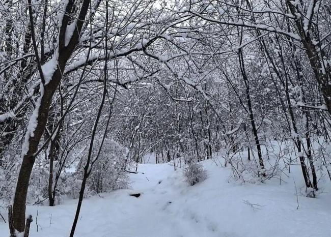 违规穿越鳌太线5人因分歧拆成3股 悲剧背后的冒险代价