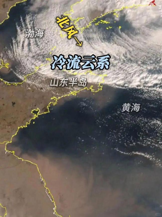 复旦博士威海追暴雪：激动得睡不着 科研热情遇冷流雪