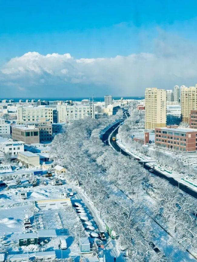 复旦博士威海追暴雪：激动得睡不着