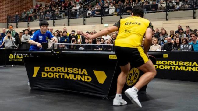 樊振东3比0卡尔松 横扫对手显神威