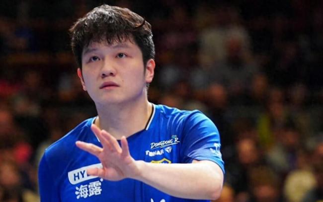 樊振东3比0米诺 德甲赛场显神威