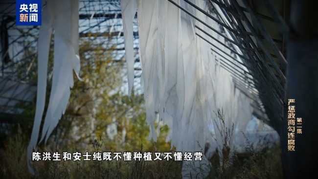 视频丨严惩政商勾连腐败!年度反腐大片播出第二集