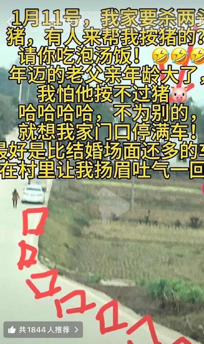 女子维护按猪被猪一脚蹬脸上,咱们缺的不是力气是被需要