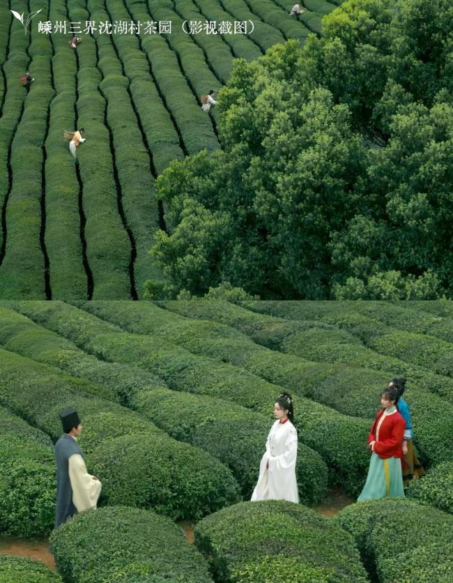 玉茗茶骨 一部剧带火一座城