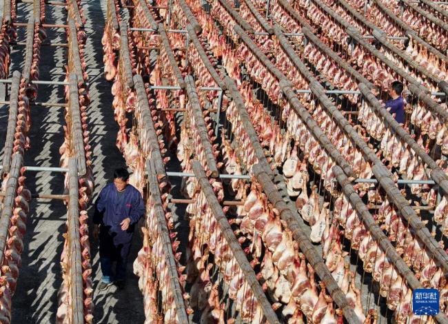 “三九”各地烟火气浓 寒冬里的温暖景象