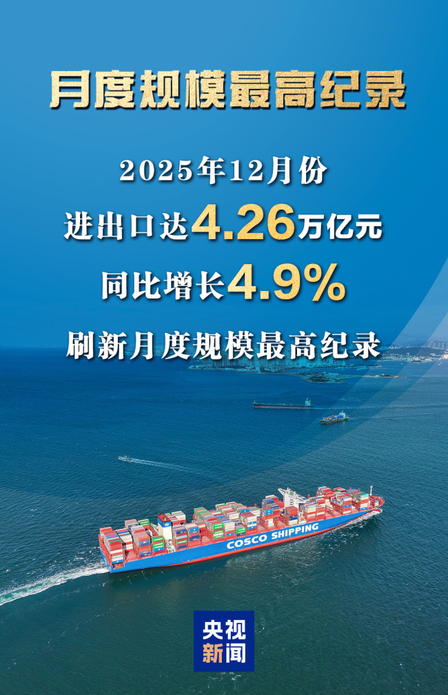一组图看我国2025年外贸进出口成绩单