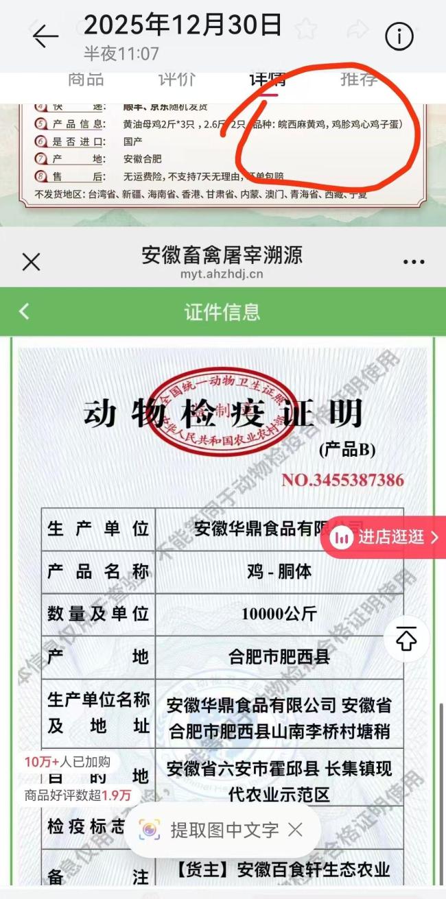 皖西麻黄鸡成本150元与辉同行卖28元