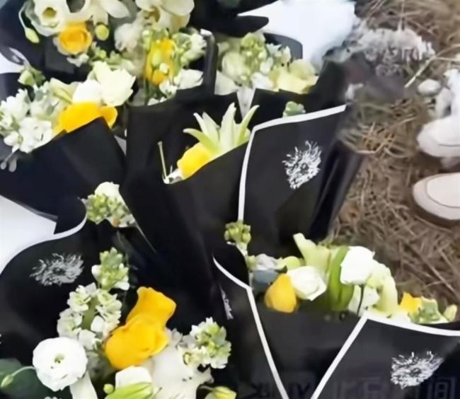 云南新品种月季征名 网友提名娇龙 以花回想骁雄