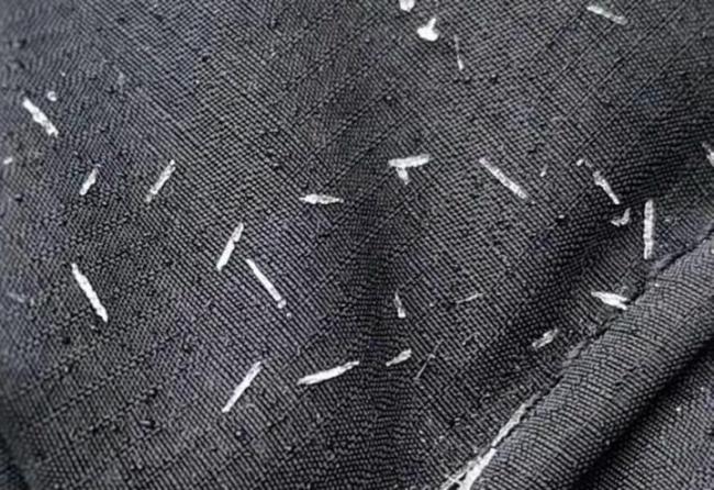 为何北京下鹅毛雪济南下冰针雪 温度湿度造就奇景