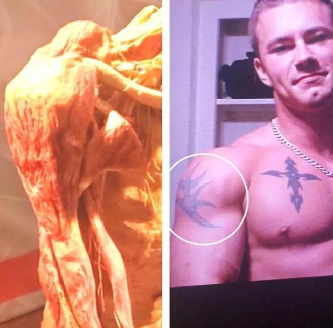 番邦母亲看东谈主体展览发现女儿遗体 真相扑朔迷离