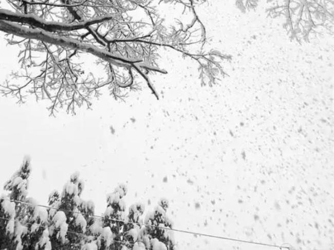 为何北京下鹅毛雪济南下冰针雪 温度湿度造就奇景