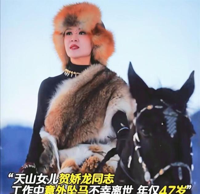 云南新品种月季征名 网友提名娇龙 以花回想骁雄