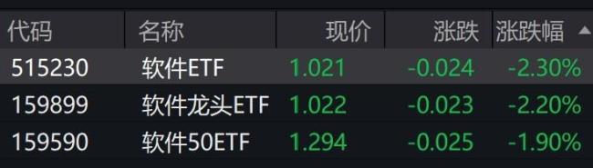 软件概念股集体走低