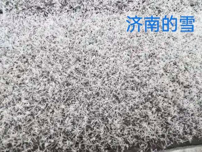 济南下“暴雨梨花针