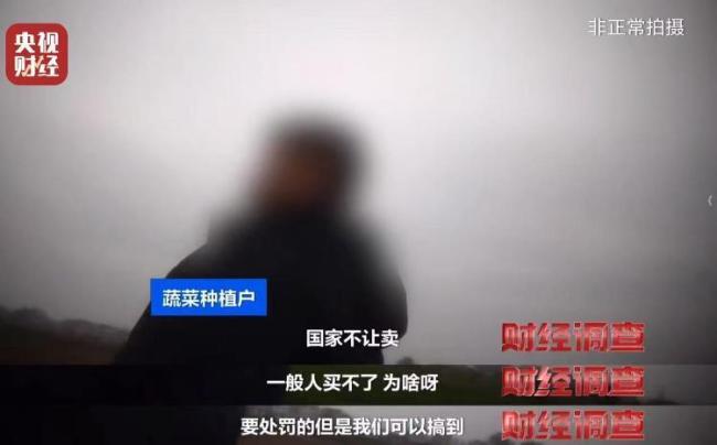 央视曝光“菜商违规使用含毒农药” 多渠道隐蔽销售
