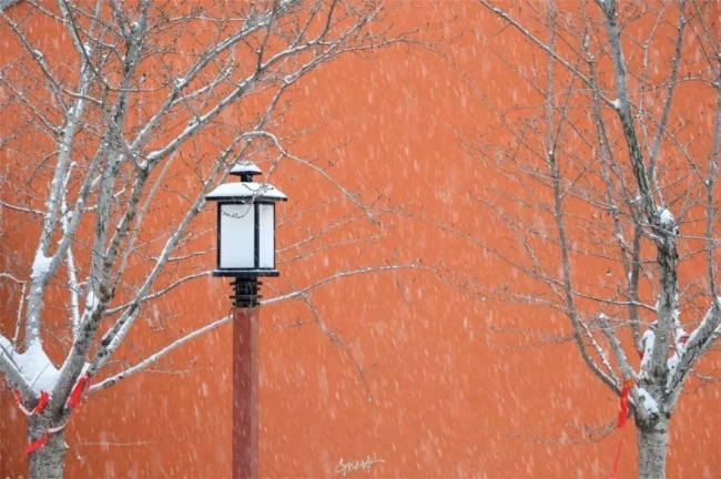 实拍江苏降雪：银装美景入画来 瑞雪装扮宿迁城