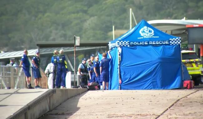 悉尼24小时内三起鲨鱼咬人 海滩接连遇袭