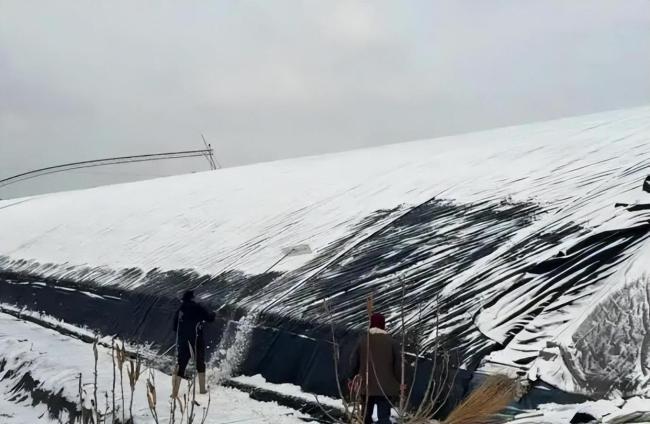 无人机除雪生意火爆