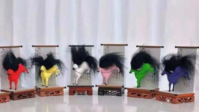 马彪彪发型可扎可染 治愈系小马风靡网络