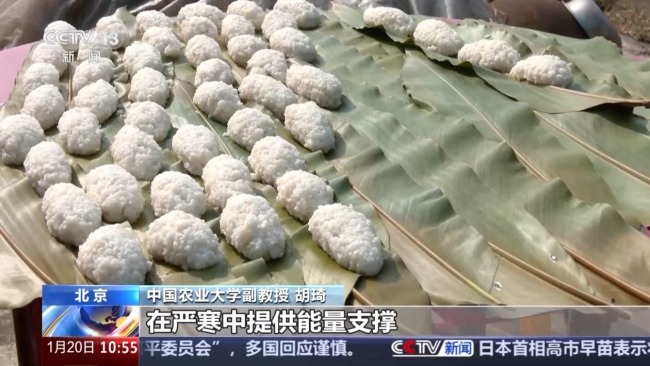 蕴含气候预警与养生之道 解锁民谚中的科学密码