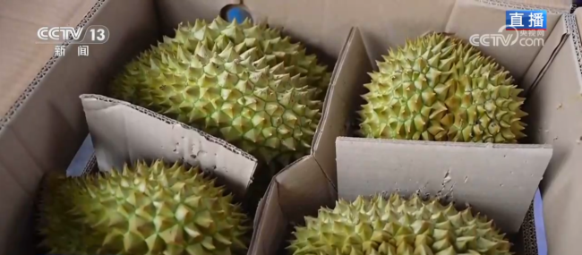 “年貨消費”活力充沛激發經濟增長新動能