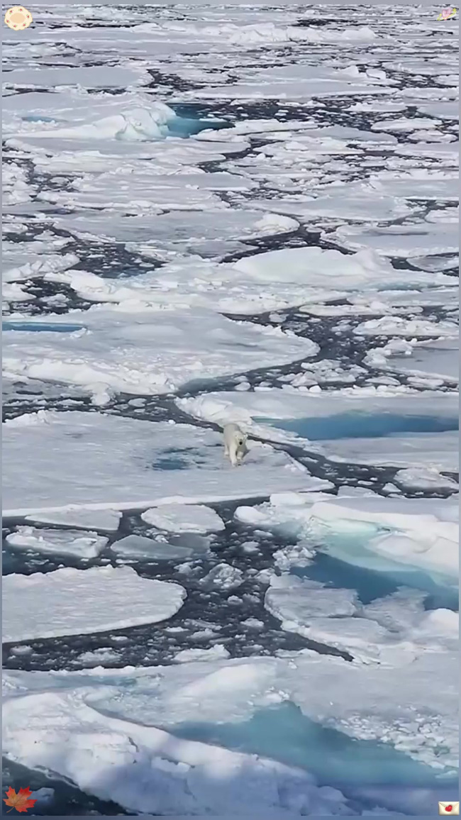 火过白银！北极寒流冲击北半球 美国天然气两天暴涨近60%