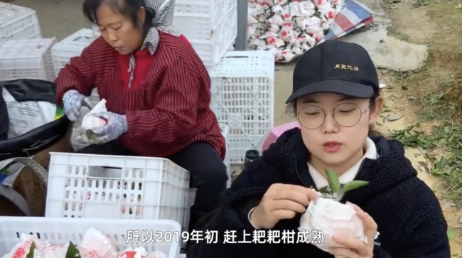 考研失败情侣辞职回村7年后翻盘 从道歉到被追着买