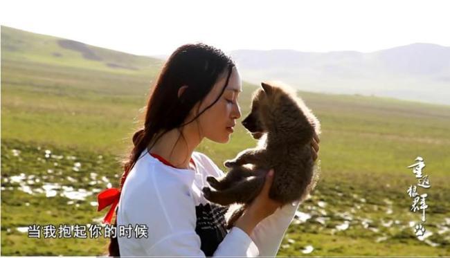 李微漪回应《重返狼群》再度爆火 人狼情深触动人心