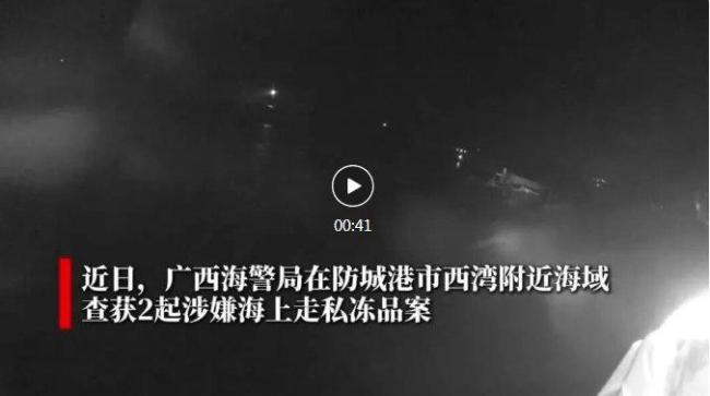 大连港口冻死大量梭鱼 寒潮引发生态警钟