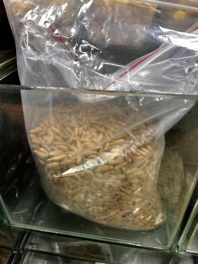 “坚果界爱马仕”变年货性价比之王 松子大丰收降价