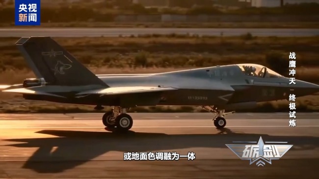 歼-20和歼-35的涂装有何不同 首飞与入役涂装解析