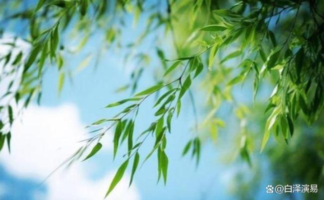 26号进五九,今年五九不一般 春意与寒意交织