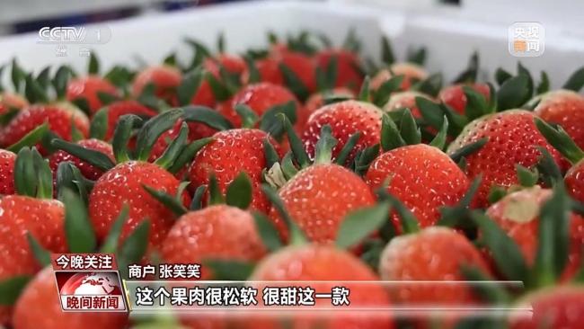 春节前消费市场活力十足 年货“鲜”到家