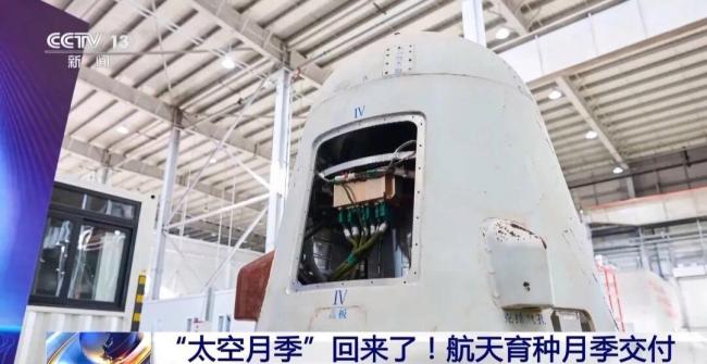 航天育种月季交付 太空种子开启新希望