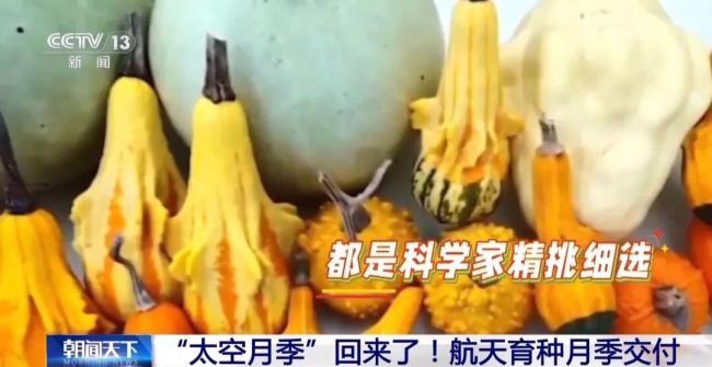 航天育种月季交付 太空种子开启新希望